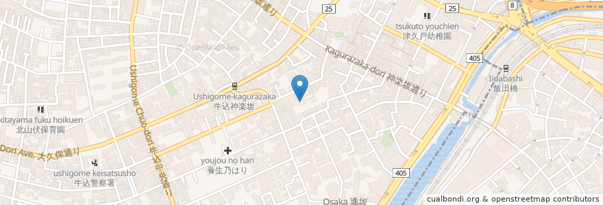 Mapa de ubicacion de 光照寺 en Japonya, 東京都, 新宿区.