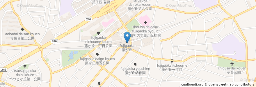 Mapa de ubicacion de CoCo壱番屋 en اليابان, كاناغاوا, 横浜市, 青葉区.