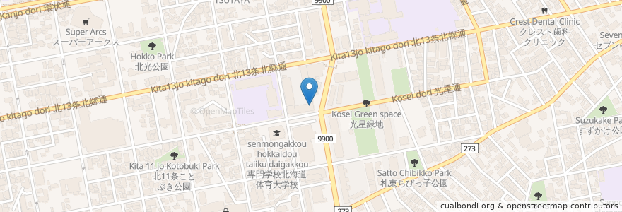 Mapa de ubicacion de 光星調剤センター en Япония, Хоккайдо, Округ Исикари, Саппоро, Хигаси.