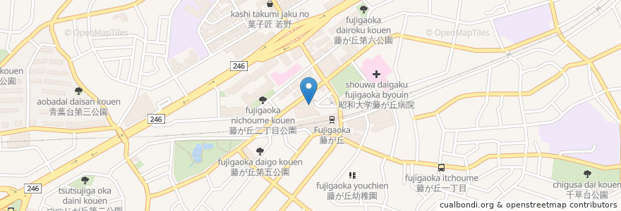 Mapa de ubicacion de 藤が丘薬局 en Japón, Prefectura De Kanagawa, Yokohama, 青葉区.