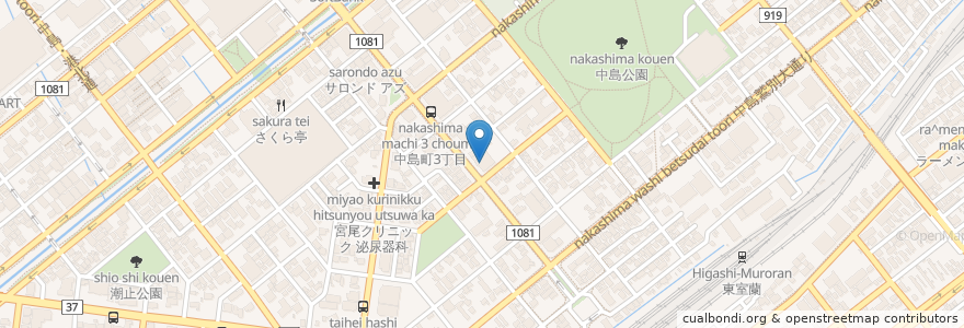Mapa de ubicacion de なかじまこうえん薬局 en ژاپن, 北海道, 胆振総合振興局, 室蘭市.