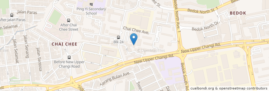 Mapa de ubicacion de Chai Chee 29 en 싱가포르, Southeast.