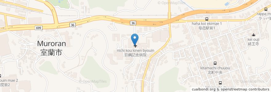 Mapa de ubicacion de 日鋼記念病院 en 日本, 北海道, 膽振綜合振興局, 室蘭市.