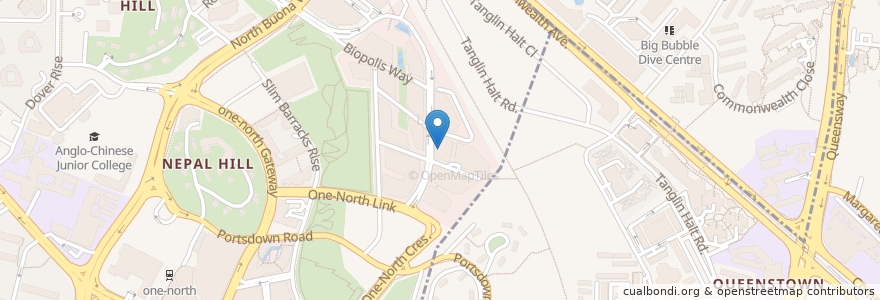 Mapa de ubicacion de The Rehab Practice (Paediatric) Pte Ltd en Singapore.