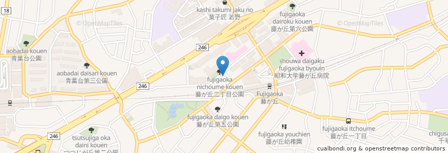 Mapa de ubicacion de 南欧料理 青とんがらし en Japon, Préfecture De Kanagawa, 横浜市, 青葉区.