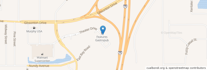 Mapa de ubicacion de Features Gastropub en 美利坚合众国/美利堅合眾國, 佛罗里达州/佛羅里達州, Hillsborough County.