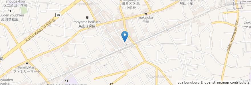 Mapa de ubicacion de クスノキ歯科 en Jepun, 東京都, 世田谷区.