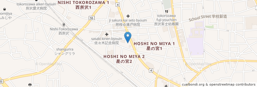 Mapa de ubicacion de SEIMS en 日本, 埼玉県, 所沢市.
