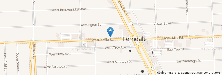 Mapa de ubicacion de Vibe Credit Union en 미국, 미시간, Oakland County, Ferndale.