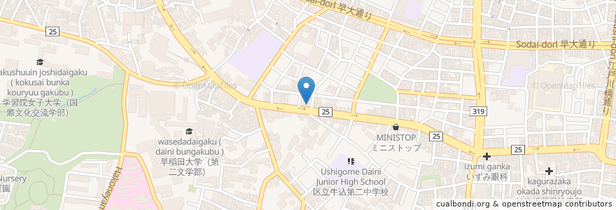 Mapa de ubicacion de 藤井歯科医院 en Japão, Tóquio, 新宿区.