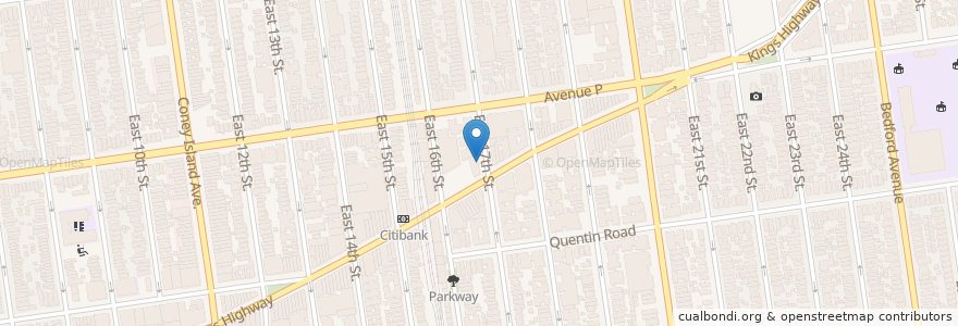 Mapa de ubicacion de Tiger Schulmann's Mixed Martial Arts en Stati Uniti D'America, New York, New York, Brooklyn.