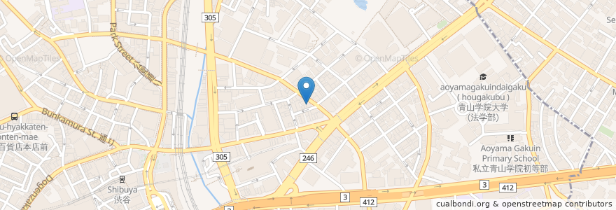 Mapa de ubicacion de CAFE &LOUNGE RYUKODO en Japan, 東京都, 渋谷区.