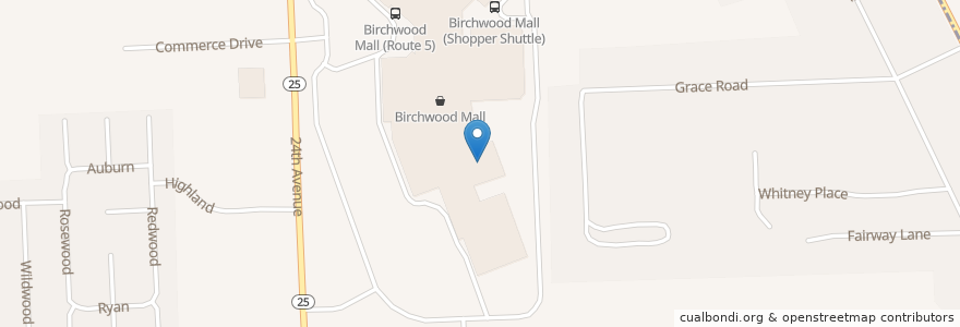 Mapa de ubicacion de AMC Birchwood 10 en Verenigde Staten, Michigan, Saint Clair County, Fort Gratiot Township.