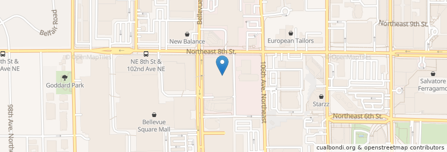 Mapa de ubicacion de Cinemark Lincoln Square en アメリカ合衆国, ワシントン州, King County, Bellevue.