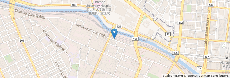 Mapa de ubicacion de 日本調剤 en Japan, 東京都, 千代田区.