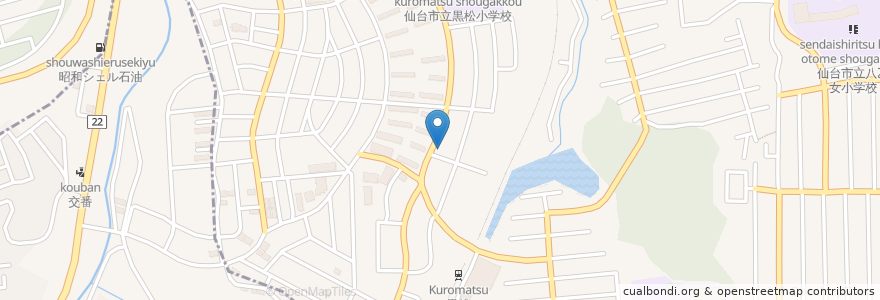 Mapa de ubicacion de ペンギン薬局 en Japan, Miyagi Prefecture, Sendai, Izumi Ward.