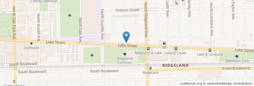 Mapa de ubicacion de Little Free Library en United States, Illinois, Oak Park.