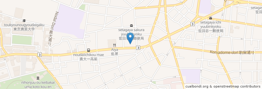 Mapa de ubicacion de Spice Magic en Japon, Tokyo, 世田谷区.