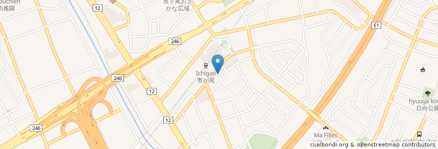 Mapa de ubicacion de 西山内科皮膚科クリニック en Japão, 神奈川県, 横浜市, 青葉区.