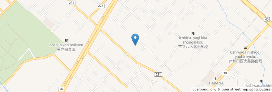 Mapa de ubicacion de よかにせ呑 en 日本, 大阪府, 岸和田市.