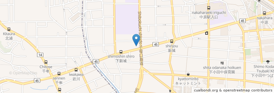 Mapa de ubicacion de (株)ENEOSフロンティア Dr.Drive新城店 en Japan, Präfektur Kanagawa, 川崎市, 中原区.