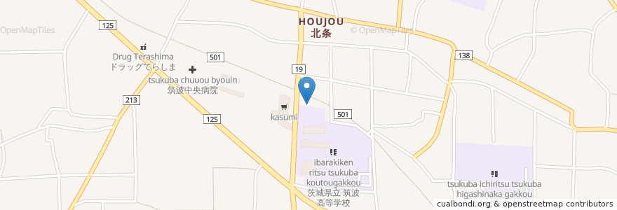 Mapa de ubicacion de 飯村医院 en اليابان, إيباراكي, つくば市.