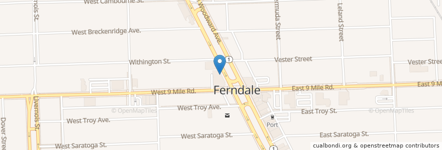 Mapa de ubicacion de Detroit Bubble Tea Ferndale en アメリカ合衆国, ミシガン州, Oakland County, Ferndale.
