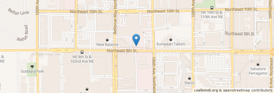 Mapa de ubicacion de Dr. Lynn A. Jones DDS en Amerika Syarikat, Washington, King County, Bellevue.