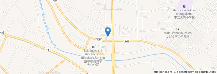 Mapa de ubicacion de セイムス en Japão, 埼玉県, 越谷市.