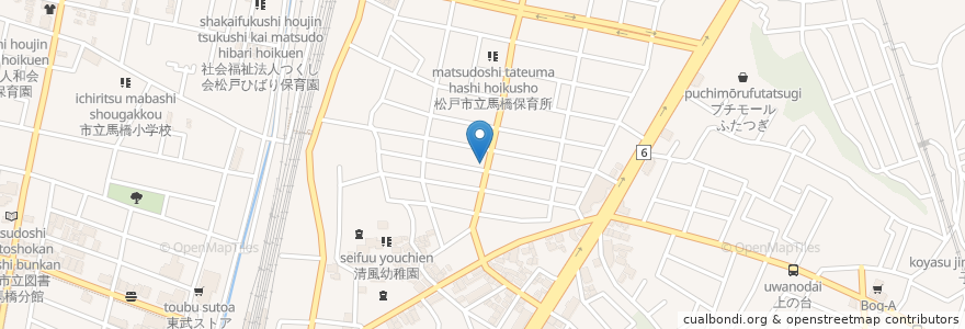 Mapa de ubicacion de 松下動物病院 en Japón, Prefectura De Chiba, Matsudo.