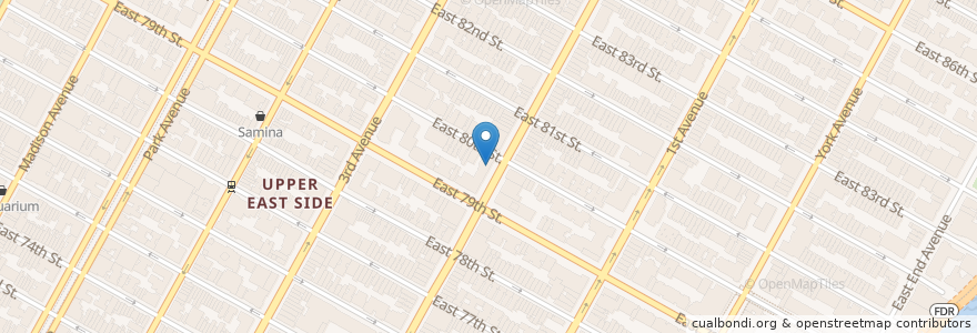 Mapa de ubicacion de Rite Aid en Amerika Syarikat, New York, New York, New York County, Manhattan, Manhattan Community Board 8.