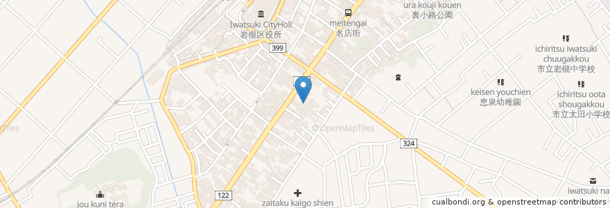 Mapa de ubicacion de 埼玉県信用金庫岩槻支店 en Jepun, 埼玉県, さいたま市, 岩槻区.