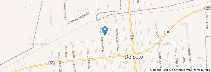 Mapa de ubicacion de De Soto First Baptist Church en 미국, 일리노이, Jackson County, De Soto.