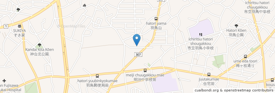 Mapa de ubicacion de 丸山医院 en 日本, 神奈川縣, 藤沢市.