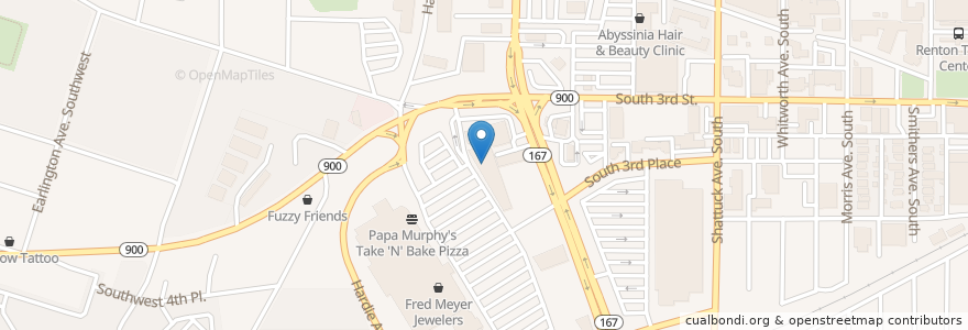 Mapa de ubicacion de The Kids' Dentist en アメリカ合衆国, ワシントン州, King County, Renton.