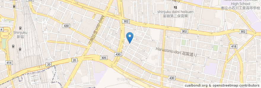 Mapa de ubicacion de Bar Gold Finger en Japon, Tokyo, Shinjuku.