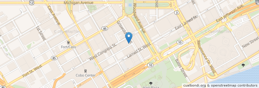 Mapa de ubicacion de Domino's en Amerika Birleşik Devletleri, Michigan, Detroit.