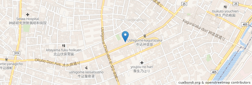 Mapa de ubicacion de Ethnic café and restaurant en اليابان, 東京都, 新宿区.
