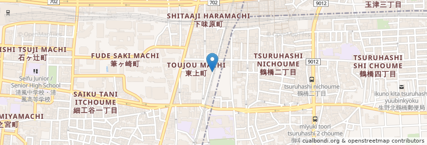 Mapa de ubicacion de 和光鍼灸治療院 en Japan, 大阪府, Osaka, 天王寺区.