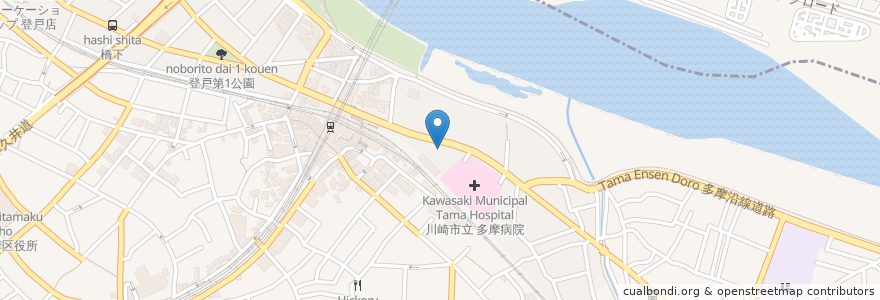 Mapa de ubicacion de 日本調剤 en Япония, Канагава, Кавасаки, Тама.