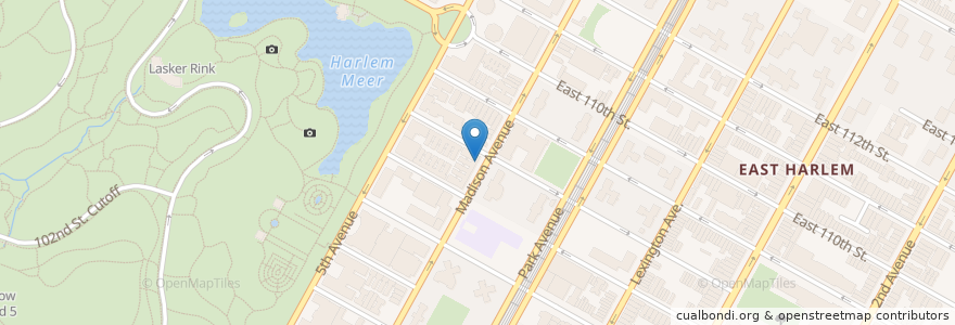 Mapa de ubicacion de Eco Green Pharmacy en Соединённые Штаты Америки, Нью-Йорк, Нью-Йорк, Округ Нью-Йорк, Манхэттен, Manhattan Community Board 11.