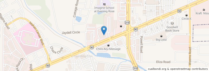 Mapa de ubicacion de Tallahassee Neurological Clinic en Vereinigte Staaten Von Amerika, Florida, Leon County, Tallahassee.