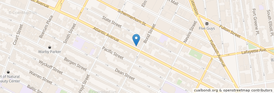 Mapa de ubicacion de Templo Cristiano de Brooklyn en United States, New York, New York, Brooklyn.