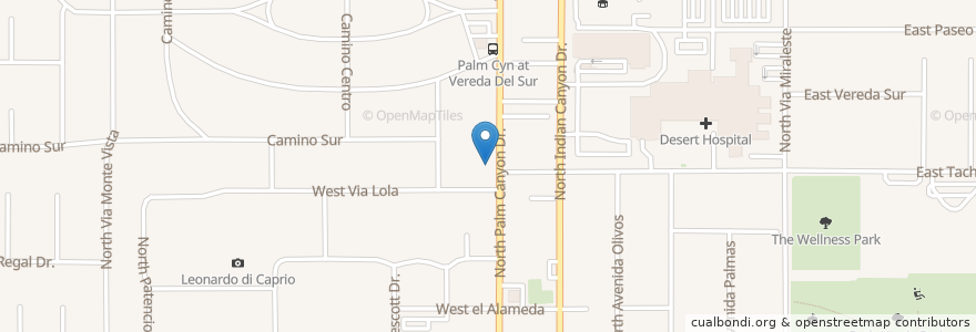 Mapa de ubicacion de Alebrije en アメリカ合衆国, カリフォルニア州, Riverside County, Palm Springs.