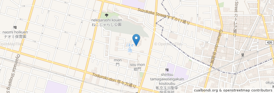 Mapa de ubicacion de 開山堂 en Japão, Tóquio, 世田谷区.