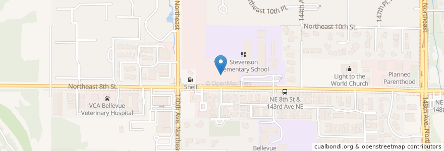 Mapa de ubicacion de Neck & Back Pain Clinic en 미국, 워싱턴, King County, Bellevue.