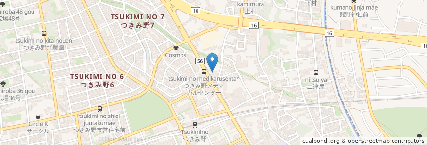 Mapa de ubicacion de 椿原皮膚科 en 일본, 가나가와현.