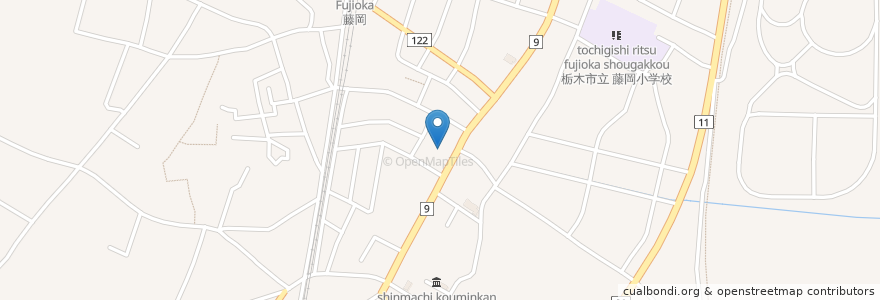 Mapa de ubicacion de Skydive Fujioka en 日本, 栃木県, 栃木市.