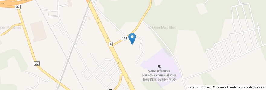 Mapa de ubicacion de 山田クリニック en Japonya, 栃木県, 矢板市.