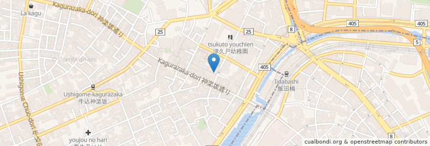 Mapa de ubicacion de 九頭龍蕎麦 en Japonya, 東京都.
